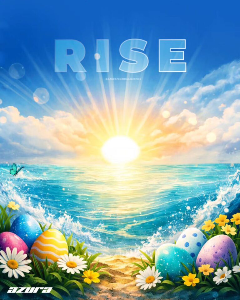 Instagram post from azurafloridaaquatics. This post is in position 3.