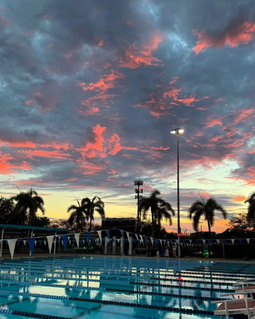 Instagram post from azurafloridaaquatics. This post is in position 11.